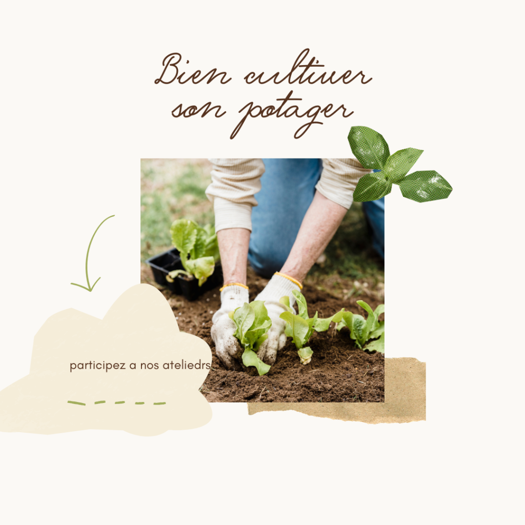 beige et vert minimaliste collage blog potager jardin publication instagram