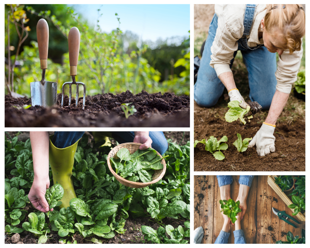 green and brown gardening photo collage