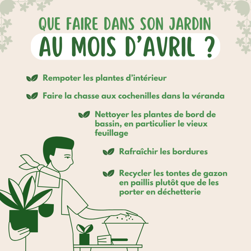 post instagram astuces jardinage illustratif vert